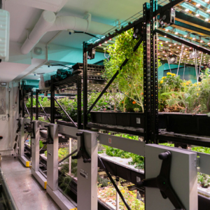 Farm One - an underground indoor farm in Tribeca, NYC. Various herbs on mobile high density shelves