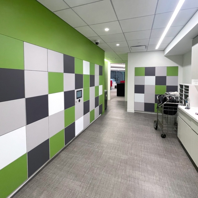 green checkerboard workplace smart lockers