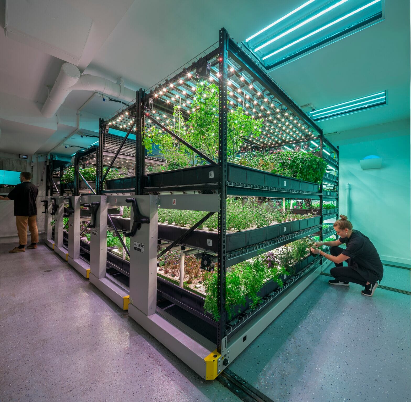 Indoor Vertical Urban Farming - Case Study | Modern Office Systems