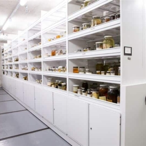 Museum Shelving and Storage for Specimen Storage & Artifacts