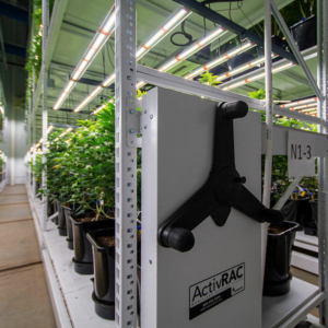 Multi-level Cannabis Cultivation - Indoor Vertical Farming on the GROW Mobile System