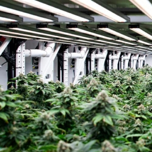 Grow Room Equipment Easily integrates onto the GROW Mobile System - Indoor Farming