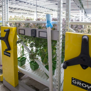 Commercial Cannabis Indoor Farm - High Density Vertical Farming on the Mobile GROW System