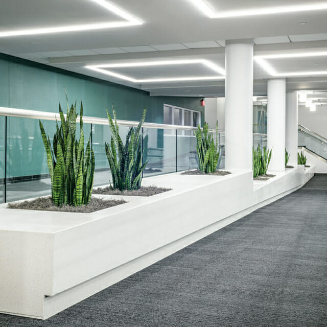 Corporate Office unique planter by Hamilton Casework