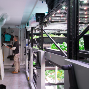 Underground Herb Farm - Indoor Vertical Farming on the GROW Mobile System.