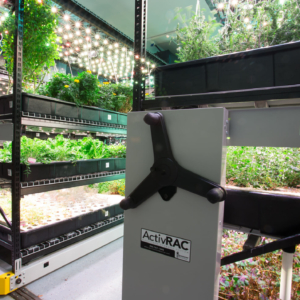 Farm One - an underground indoor farm in Tribeca, NYC. Various herbs on mobile high density shelves