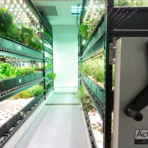 Mobile High Density Shelving - Indoor Vertical Farming in underground herb garden