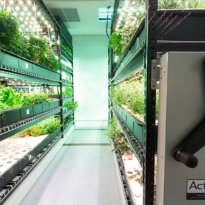 Mobile High Density Shelving - Indoor Vertical Farming in underground herb garden