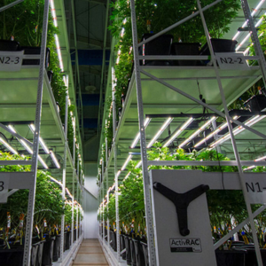 3-level GROW Mobile System - Indoor Vertical Farming can quadruple canopy size